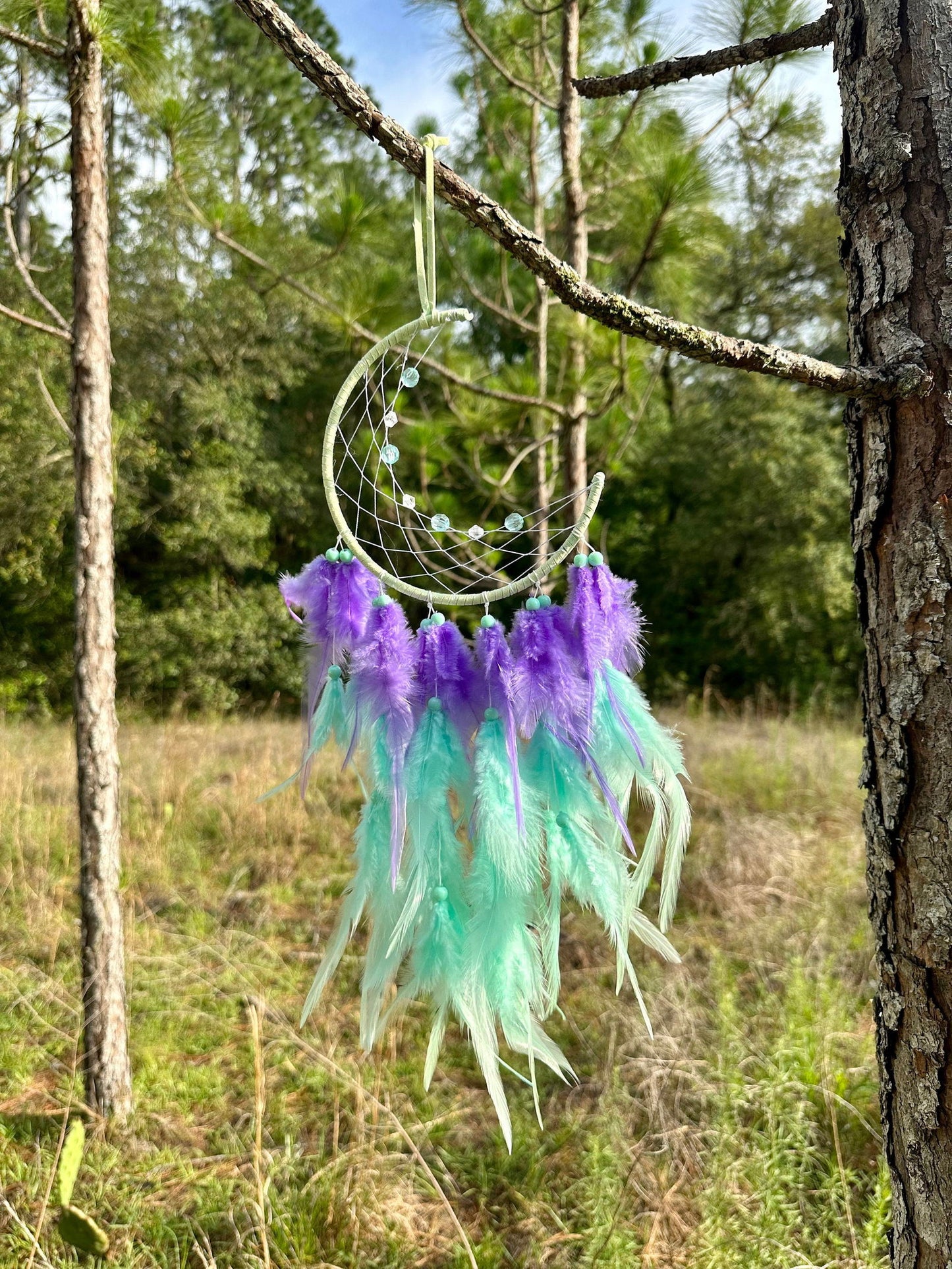 Crescent moon dream catcher wall hanging with purple and light green feathers