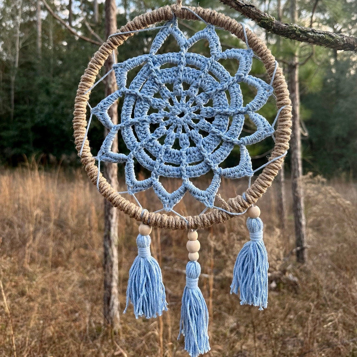 Light blue macrame dreamcatcher with circular hoop, woven web, and dangling tassels