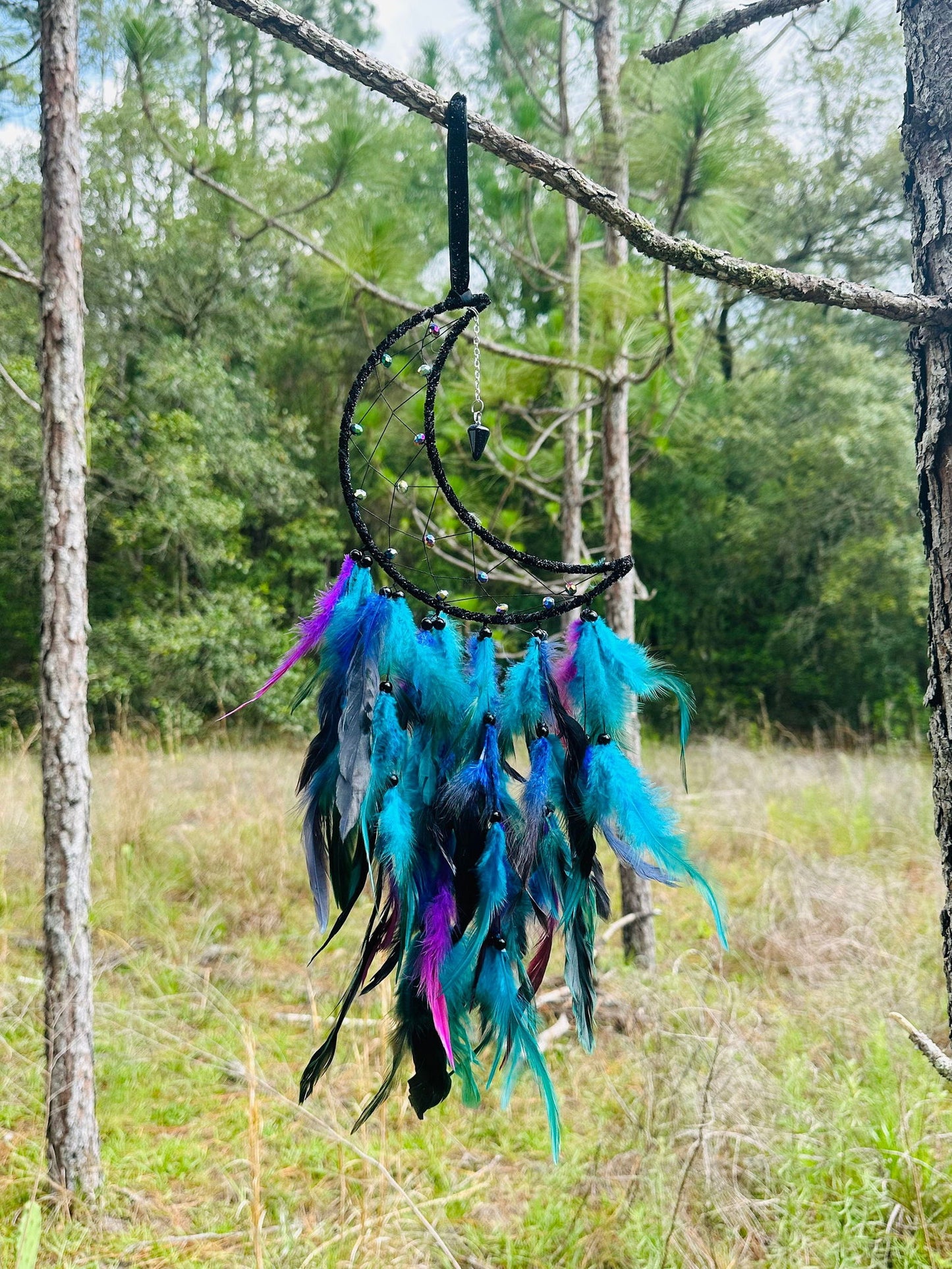 Crescent moon dream catcher wall hanging with black cord and blue-purple feathers