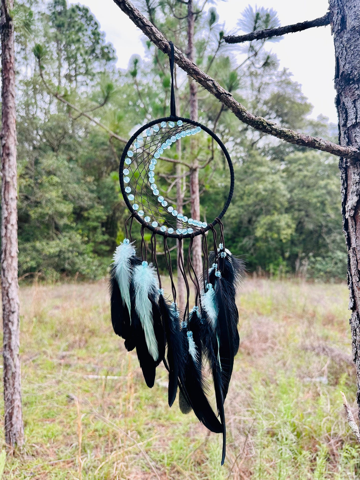 Medium Wall Hanging Crescent Moon Dream Catcher with Black & Light Blue Feathers, Modern Boho Style Home Decor -- Quick Ship!
